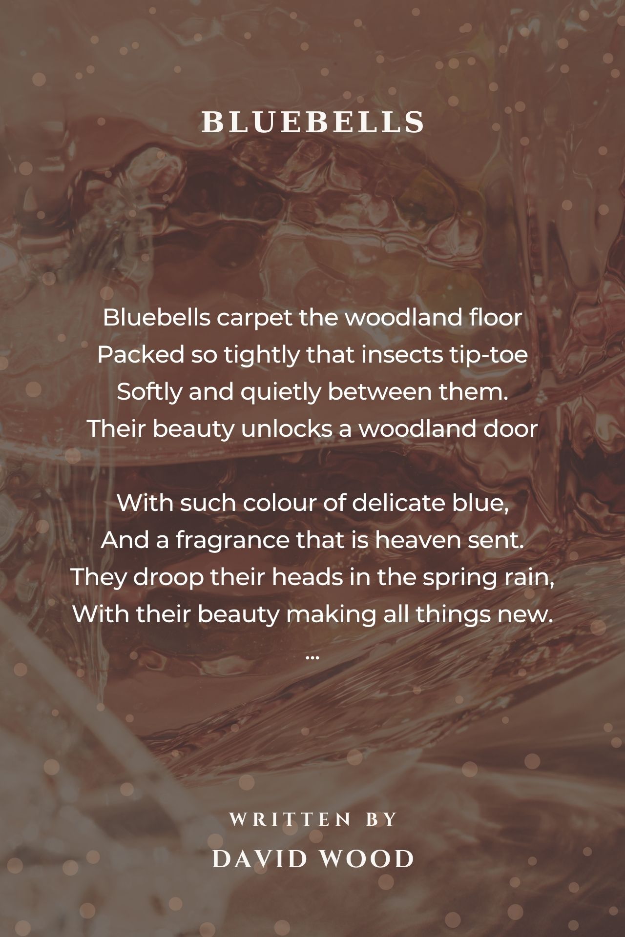 Bluebells