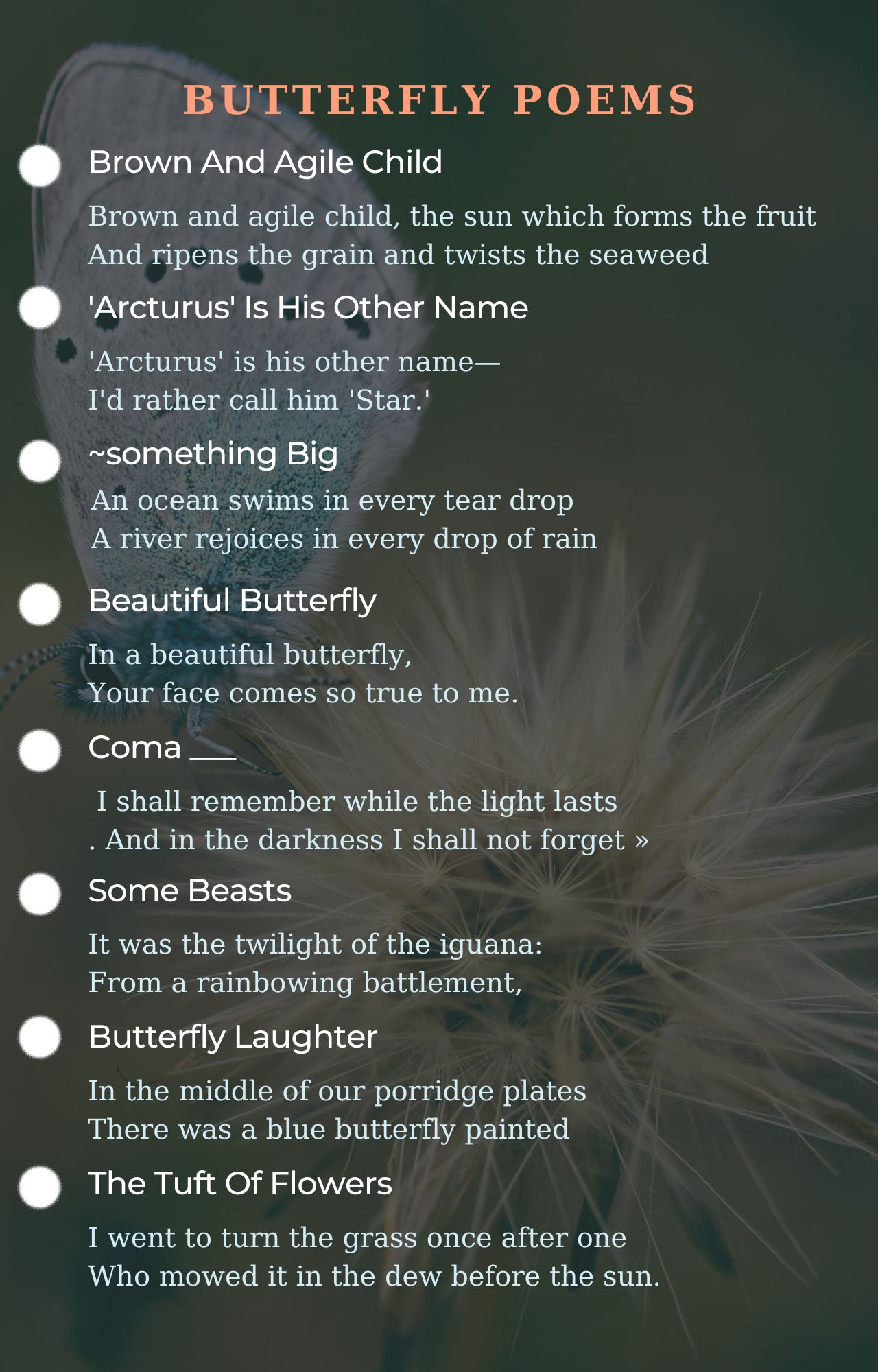 Butterfly Poets